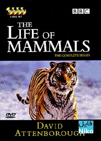 دانلود سریال مستند The Life of Mammals زندگی پستانداران مالتی مدیا مستند 