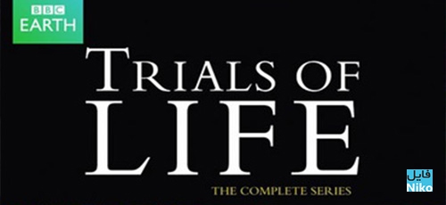 دانلود مستند The Trials of Life 1990