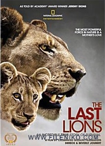 دانلود مستند The Last Lions 2011 آخرین شیرها دوبله فارسی + زبان اصلی با کیفیت Full HD مالتی مدیا مستند 