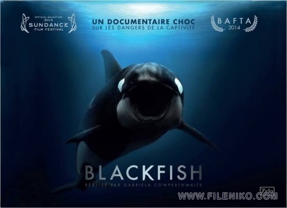 دانلود مستند Blackfish 2013 ماهی سیاه دوزبانه(دوبله فارسی+زبان اصلی) مالتی مدیا مستند 