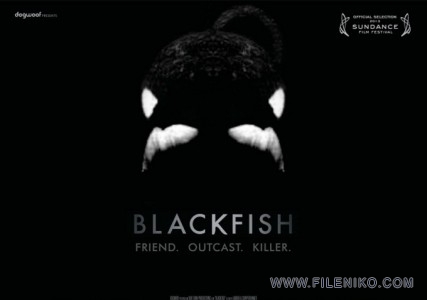 دانلود مستند Blackfish 2013 ماهی سیاه دوزبانه(دوبله فارسی+زبان اصلی) مالتی مدیا مستند 