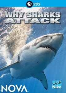 دانلود مستند PBS Nova: Why Sharks Attack چرا کوسه ها حمله میکنند؟ مالتی مدیا مستند 