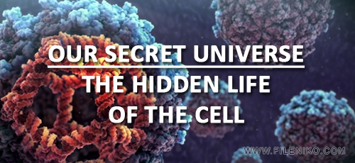 دانلود مستند The Hidden Life of the Cell 2012 زندگی پنهان سلول دو زبانه دوبله فارسی+انگلیسی
