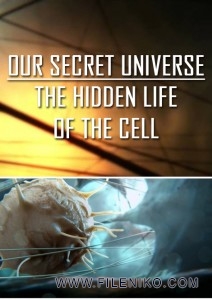 دانلود مستند The Hidden Life of the Cell 2012 زندگی پنهان سلول دو زبانه دوبله فارسی+انگلیسی مالتی مدیا مستند 