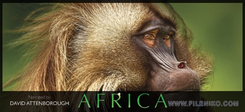 دانلود مجموعه مستند Africa 2013 آفریقا دوزبانه دوبله فارسی+انگلیسی