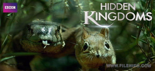 دانلود مستند Hidden Kingdoms پادشاهی پنهان حیوانات دوزبانه: اصلی+دوبله فارسی