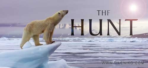 دانلود مستند شکار The Hunt 2015 دوزبانه دوبله فارسی و زبان اصلی