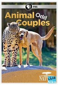 دانلود مستند PBS - Nature: Animal Odd Couples 2012 زوج های شگفت انگیز حیوانات مالتی مدیا مستند 