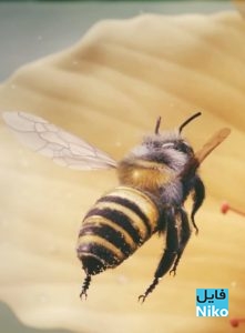 دانلود انیمیشن کوتاه Bee 2012 انیمیشن مالتی مدیا 