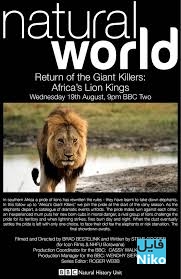 دانلود مستند  Return of the Giant Killers: Africa's Lion Kings مالتی مدیا مستند 