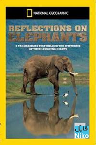 دانلود مستند فیل ها Reflections on Elephants 1994 با دوبله فارسی مالتی مدیا مستند 