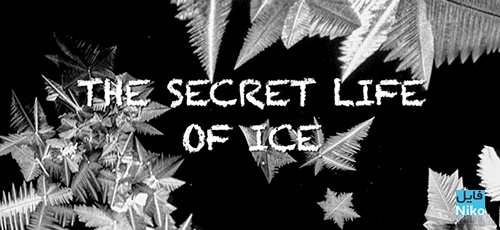 دانلود مستند The Secret Life of Ice 2011 (زندگی اسرار آمیز یخ) با دوبله فارسی