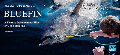 دانلود مستند Bluefin 2016
