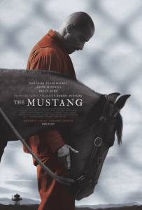 دانلود فیلم سینمایی The Mustang 2019 (اسب وحشی) با دوبله فارسی درام فیلم سینمایی مالتی مدیا 