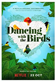 دانلود مستند Dancing with the Birds 2019 رقص با پرندگان مالتی مدیا مستند 