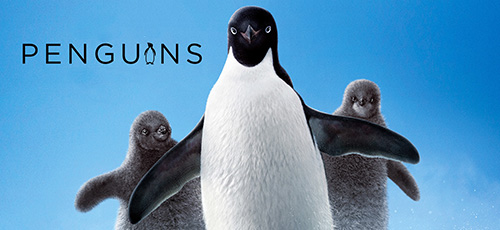 دانلود مستند Penguins 2019