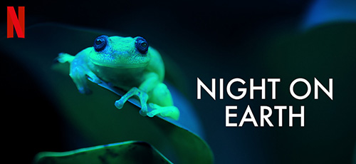 دانلود مستند Night on Earth 2020 شب روی زمین با دوبله فارسی
