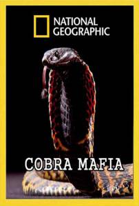 دانلود مستند Cobra Mafia 2015 مالتی مدیا مستند 