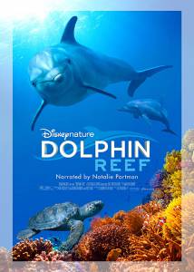 دانلود مستند Dolphin Reef 2020 تپه‌ی دلفین 4K با زیرنویس فارسی مالتی مدیا مستند مطالب ویژه 