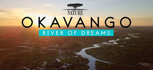 دانلود مستند Okavango: River of Dreams 2019