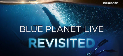 دانلود مستند BBC Blue Planet Revisited 2019 ملاقات دوبارهی سیاره آبی