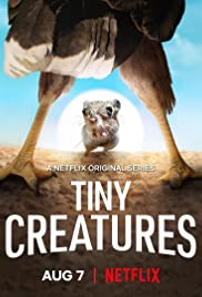 دانلود مستند Tiny Creatures 2020 موجودات کوچک مالتی مدیا مجموعه تلویزیونی مستند مطالب ویژه 