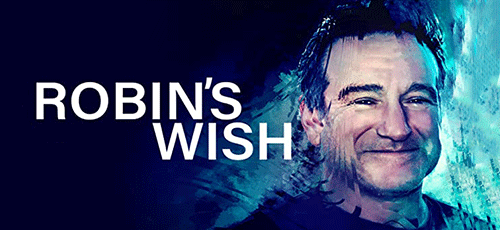 دانلود مستند Robins Wish 2020 با زیرنویس فارسی