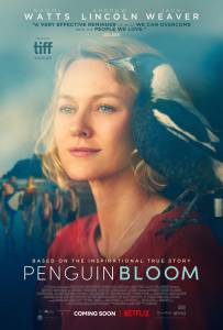دانلود فیلم Penguin Bloom 2020 دوبله فارسی درام فیلم سینمایی مالتی مدیا 