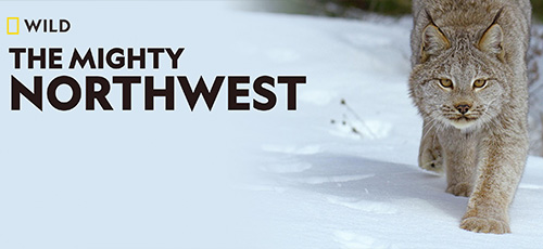 دانلود مستند The Mighty Northwest 2017 شمالغرب توانمند